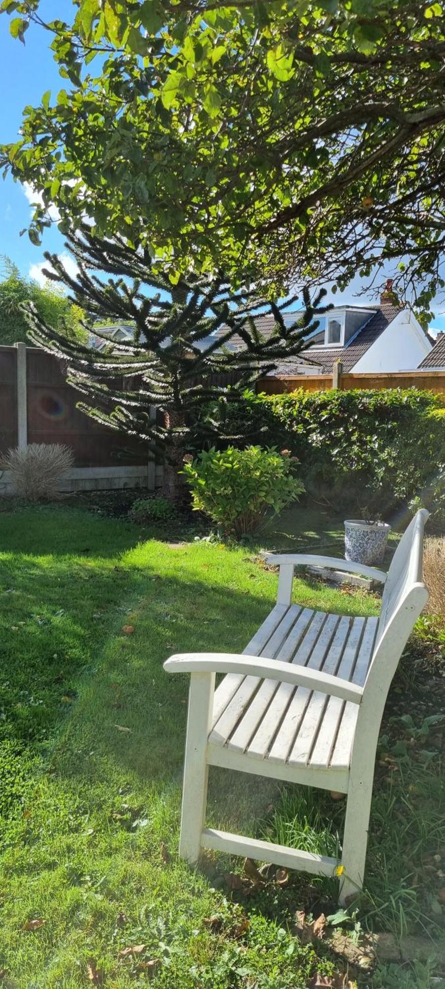 Cosy Bournemouth Bungalow Ferndown Buitenkant foto